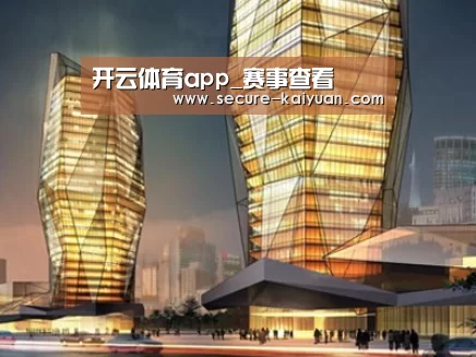 案例展示三