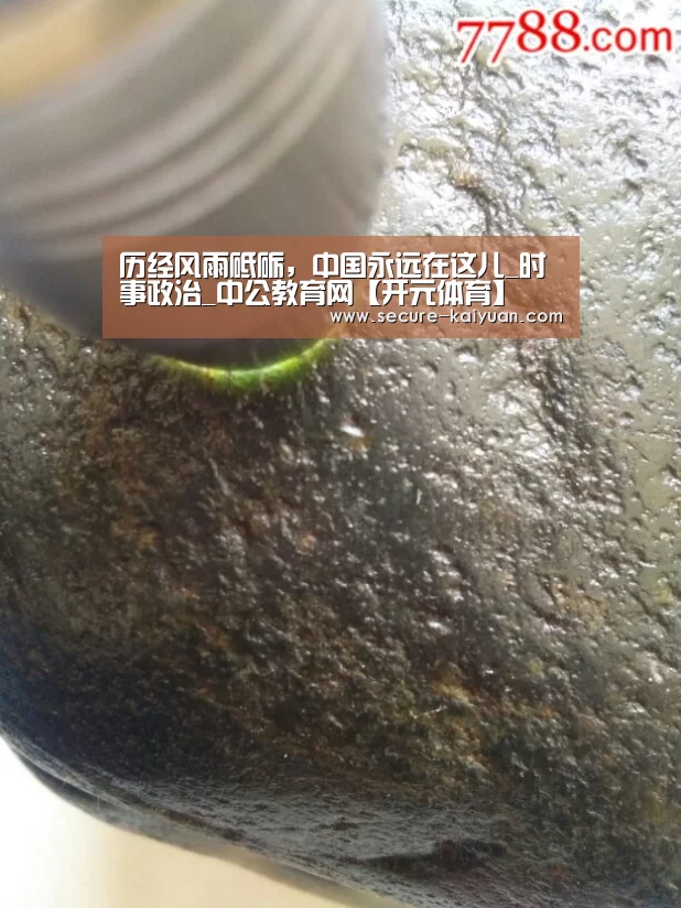 历经风雨砥砺，中国永远在这儿_时事政治_中公教育网【开元体育】(图1)