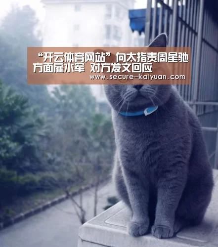 “开云体育网站”向太指责周星驰方面雇水军 对方发文回应(图1) 开元体育
