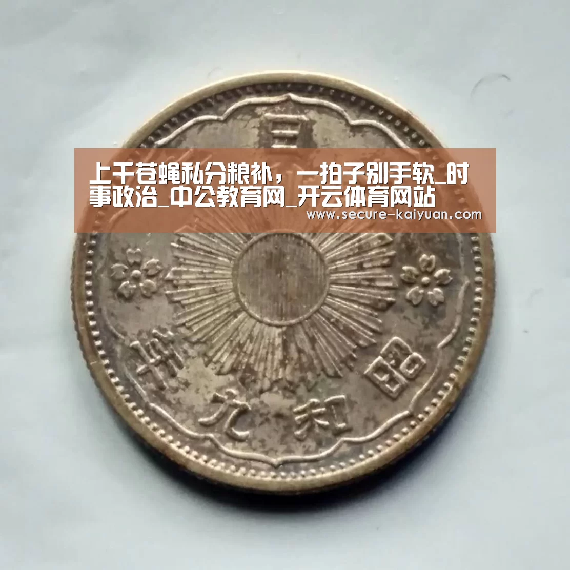 上千苍蝇私分粮补,一拍子别手软_时事政治_中公教育网_开云体育网站(图1) 开元体育