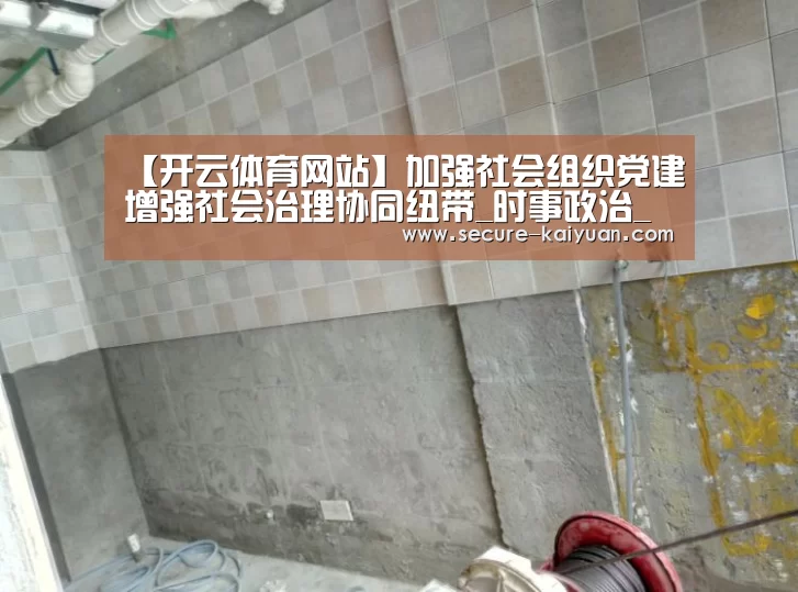 【开云体育网站】加强社会组织党建增强社会治理协同纽带_时事政治_中公教育网(图2) 开云体育官网