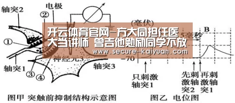 开云体育官网
